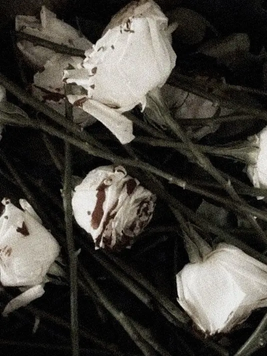 Hooked의 ANGST