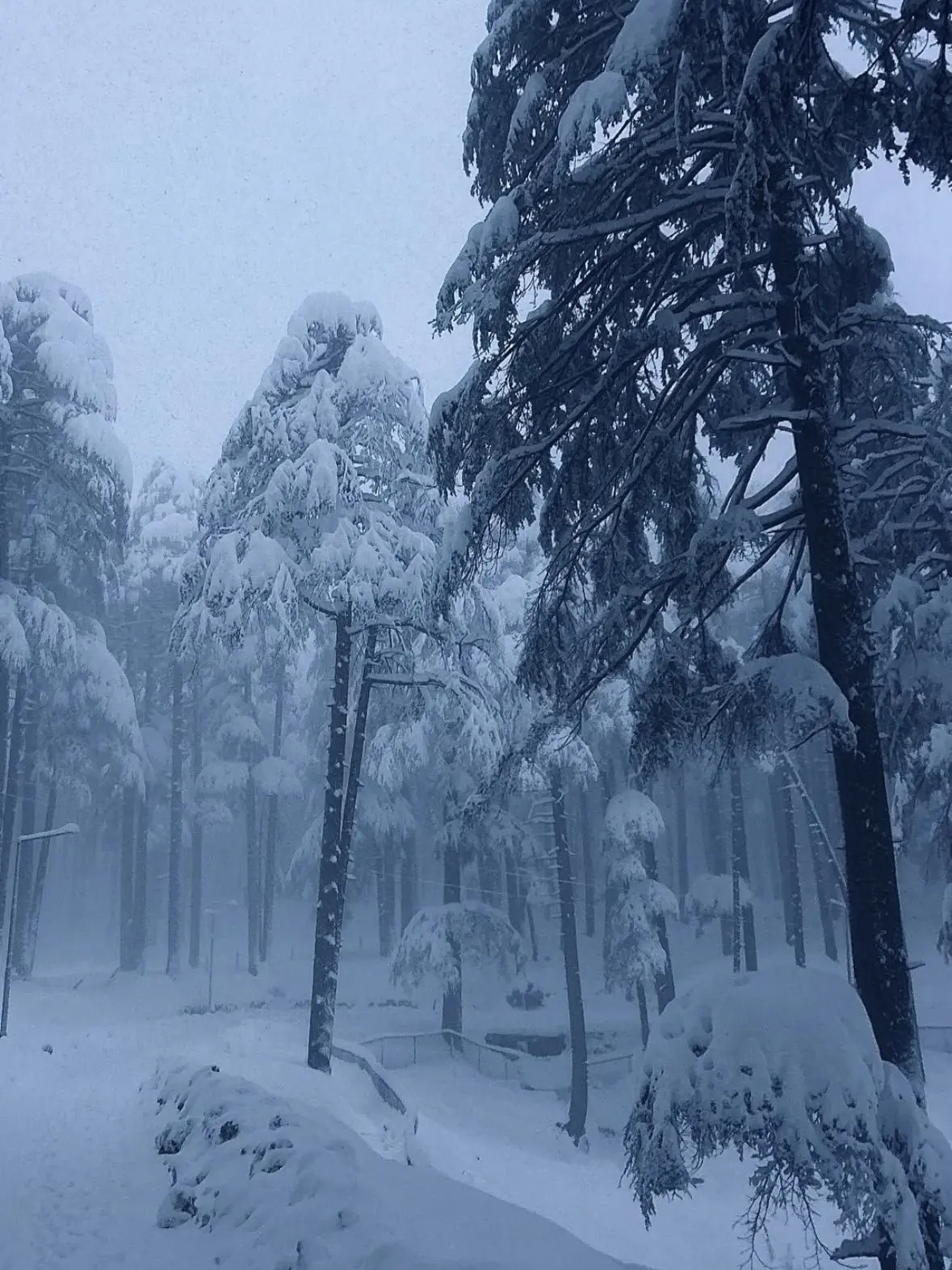 Creature_way2의 雪鉱山