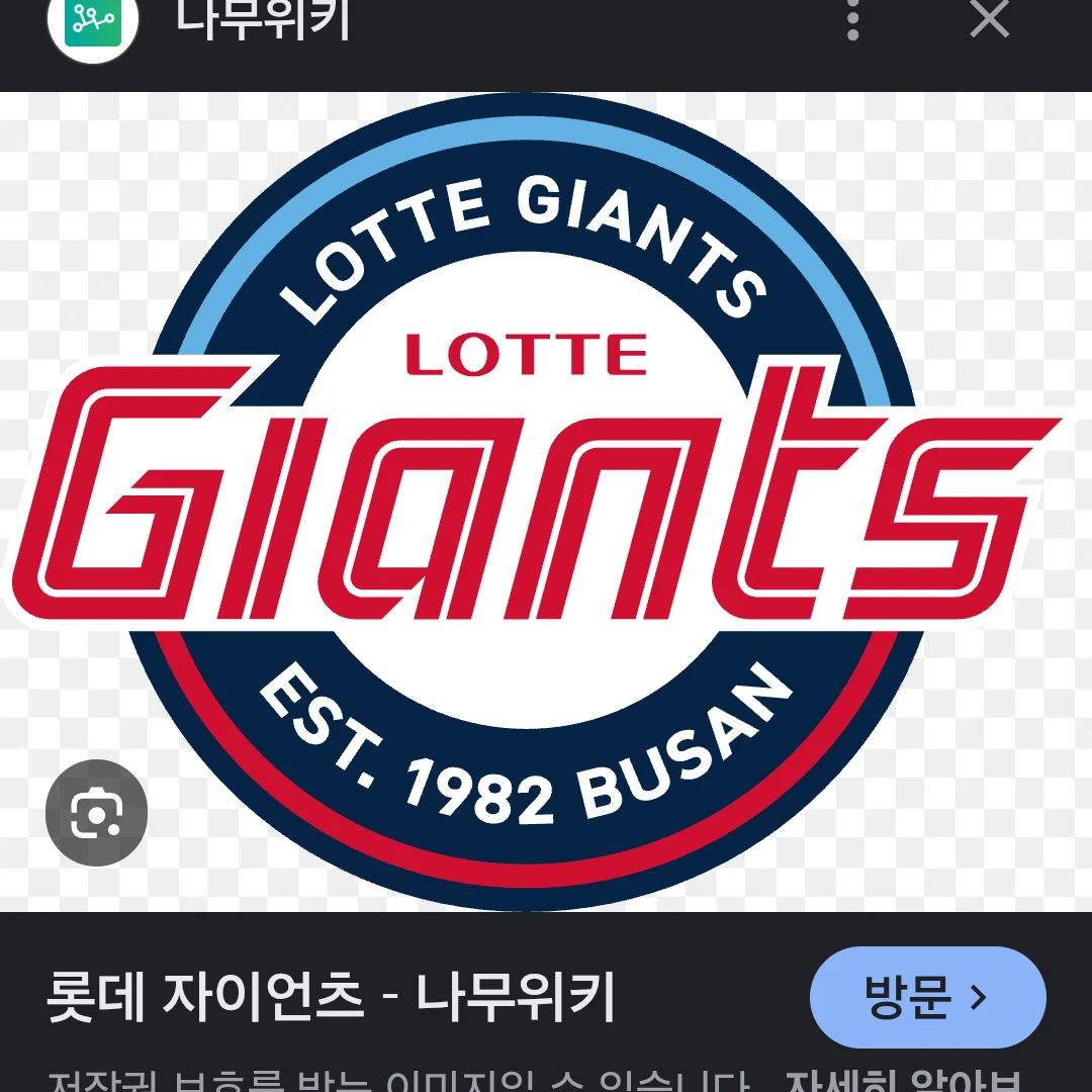 롯데 자이언츠 김윈중