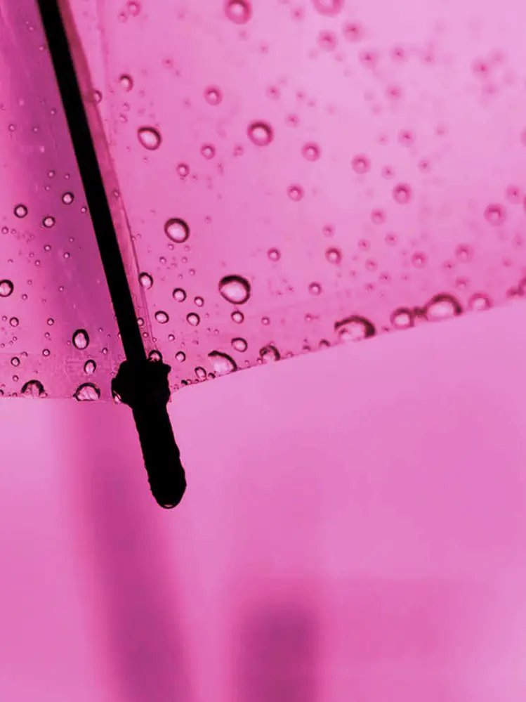 2434_main의 雨の日だけ