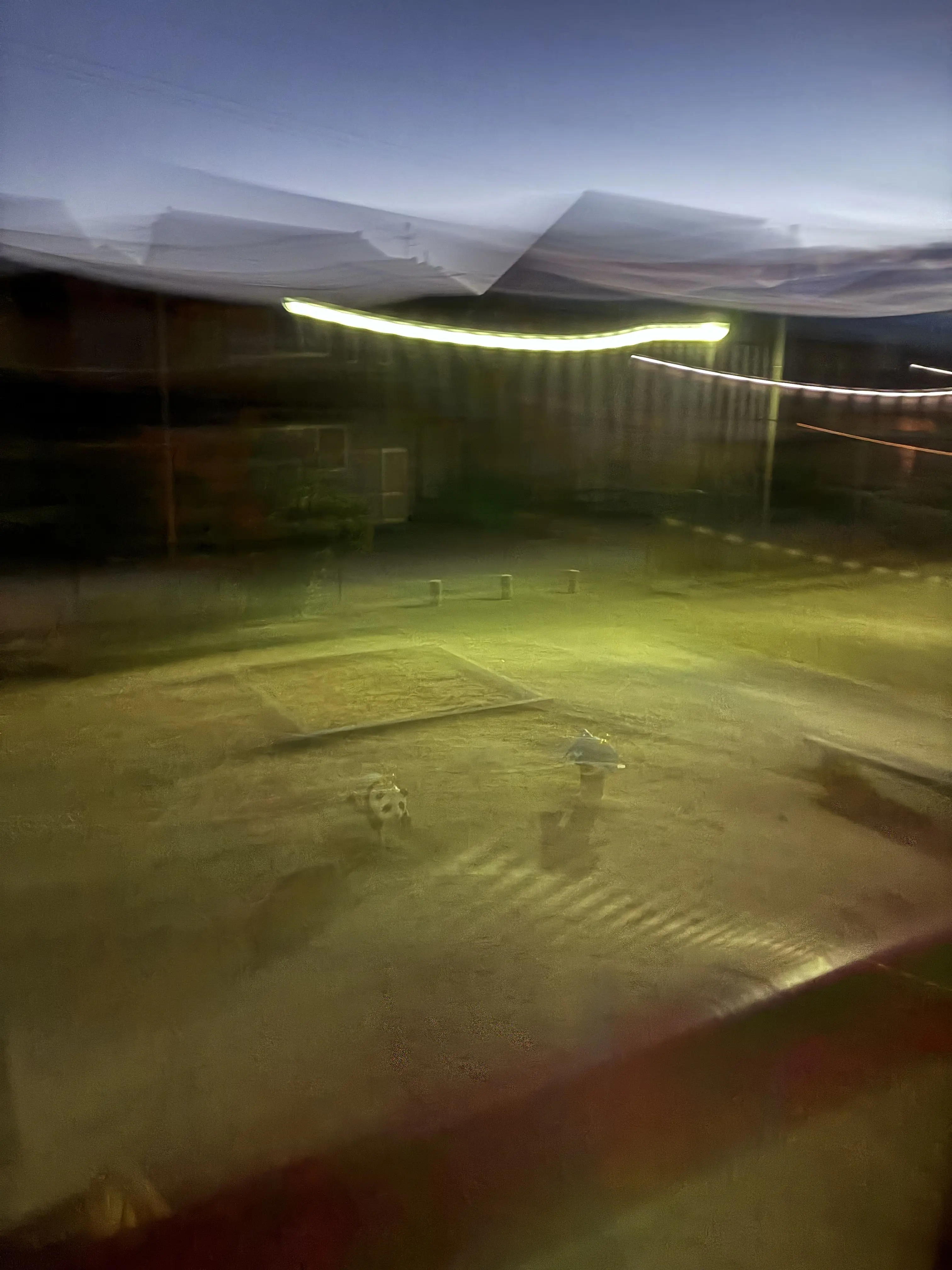 CannyCrest7824의 自分用