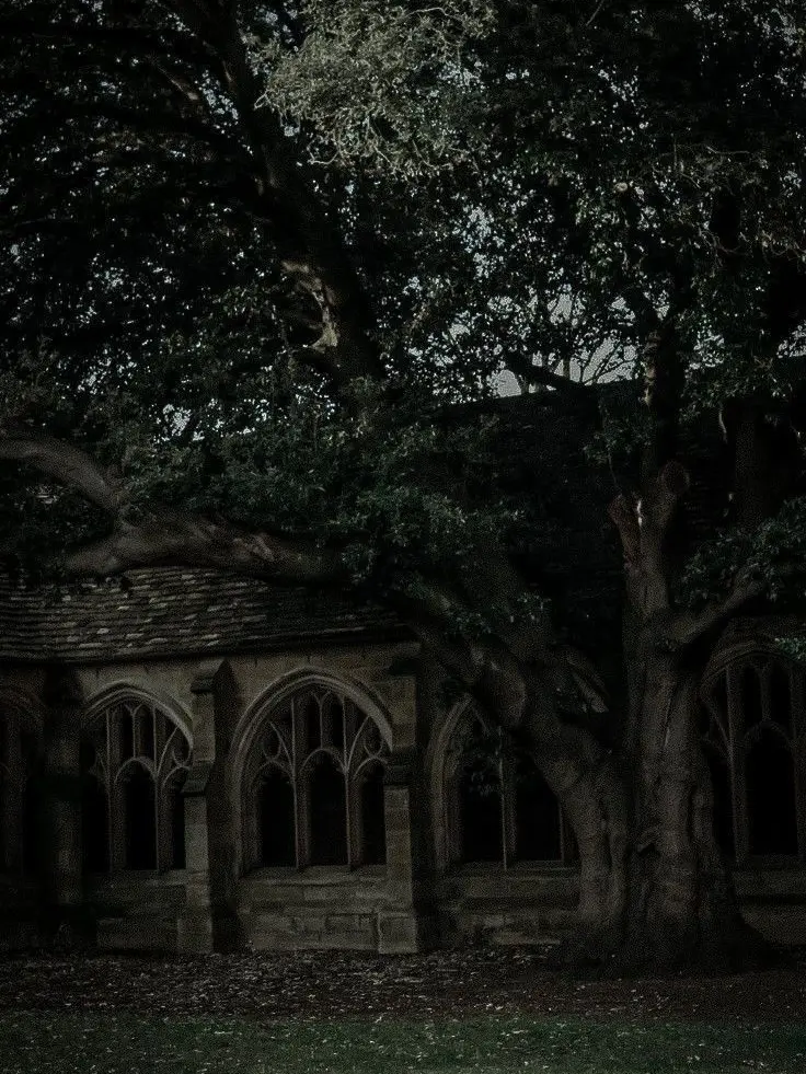 TheeeBellaa67의 Half-blood prince
