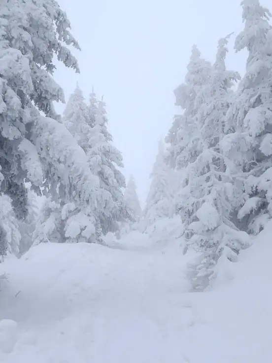 nagatoro_hayase의 Fate.