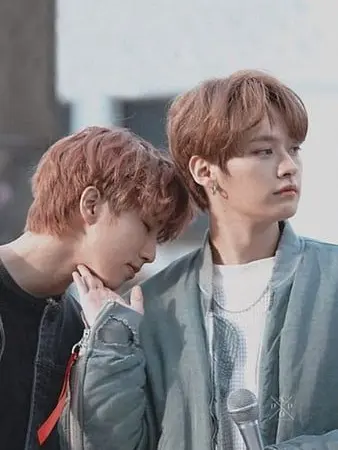 ShabbyOwl9344의 Straycat #minsung #bl