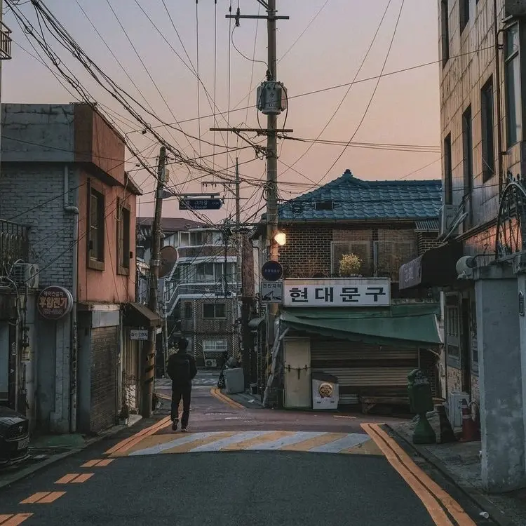 LushPest1733의 그저 그런 이웃집