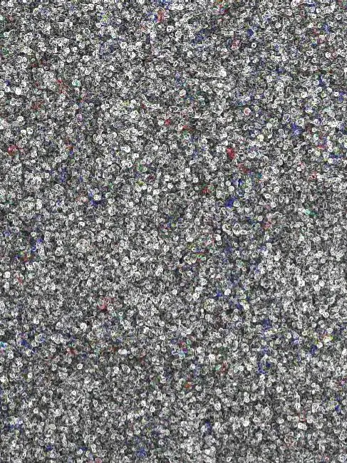 FlimsyPrint1105의 핵로드 셰들레츠키...