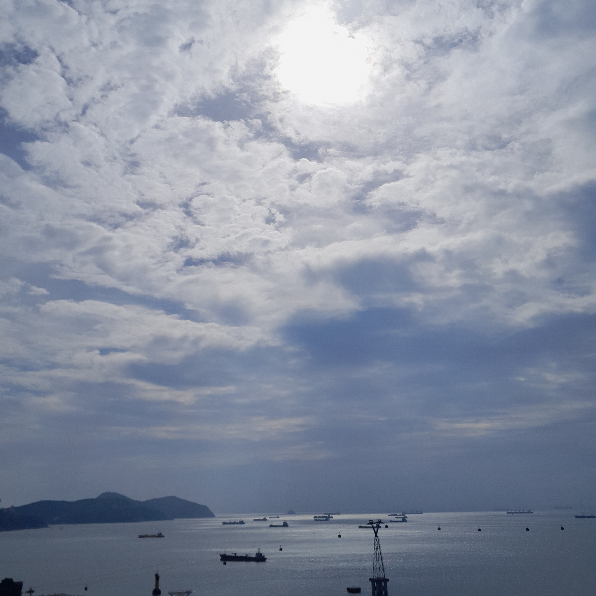 김일영 대표 이미지