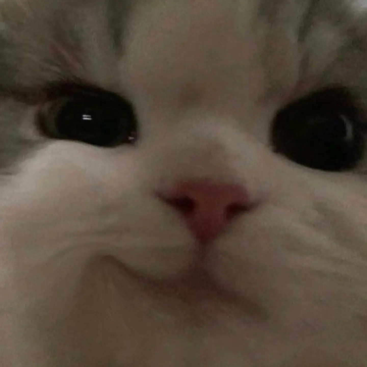 NuttyScoop5323의 에스파 (인형뽑기)