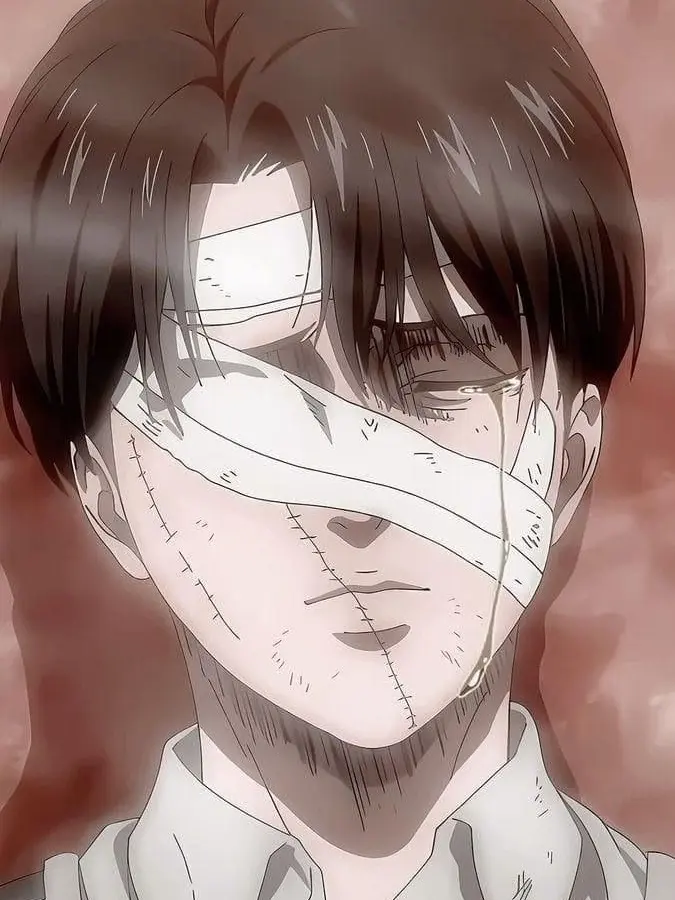 LowCoat6413의 리바이 아커만