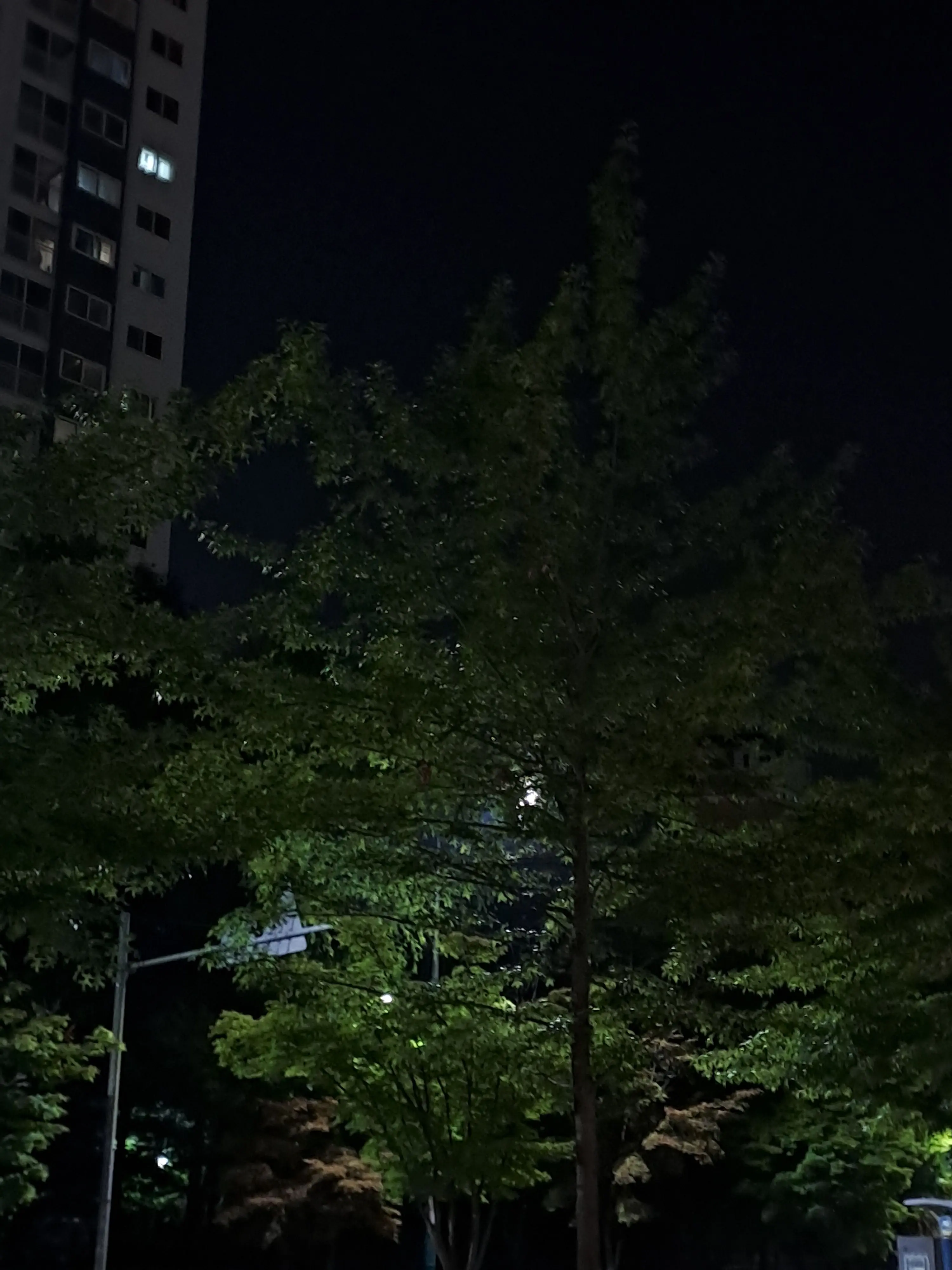 StingyWoman0232의 오해풀기(진심 짜증 날수도?)