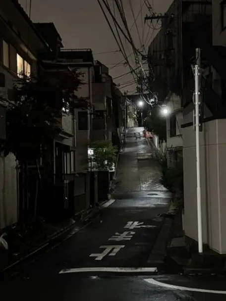 Paradise_001의 패러다이스 조직물 ver.