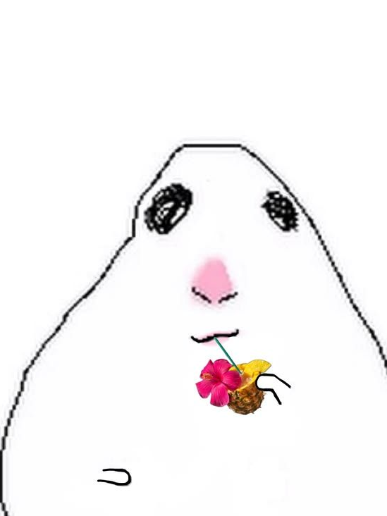 ÷ 대표 이미지