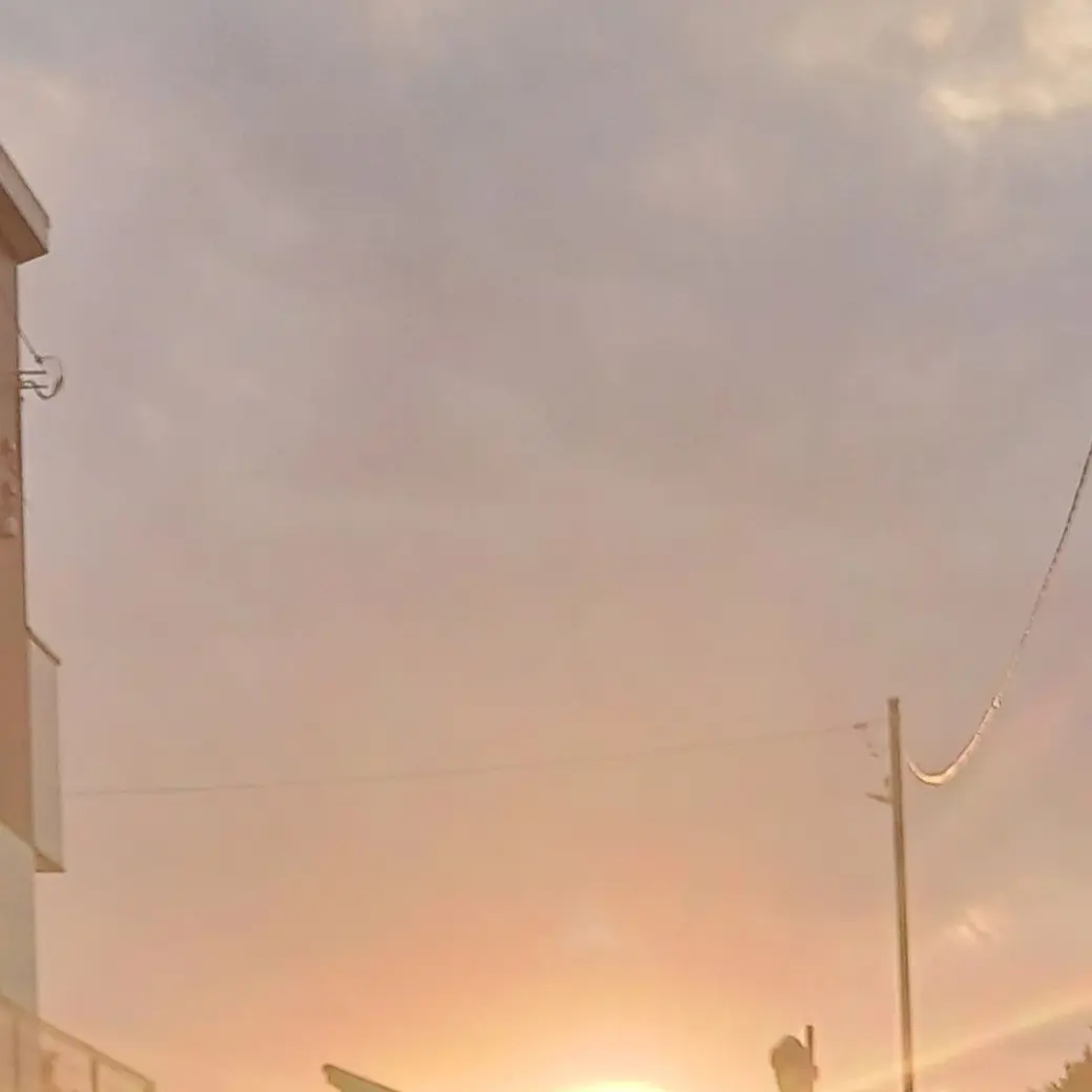 PoorCello9524의 触手国連