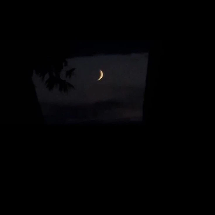 박 . 원 . 빈