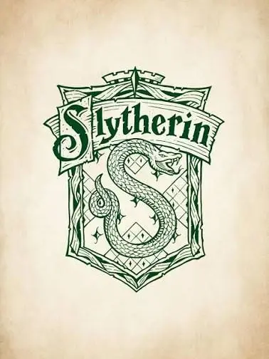 somebody2122의 Hogwarts-Slytherin