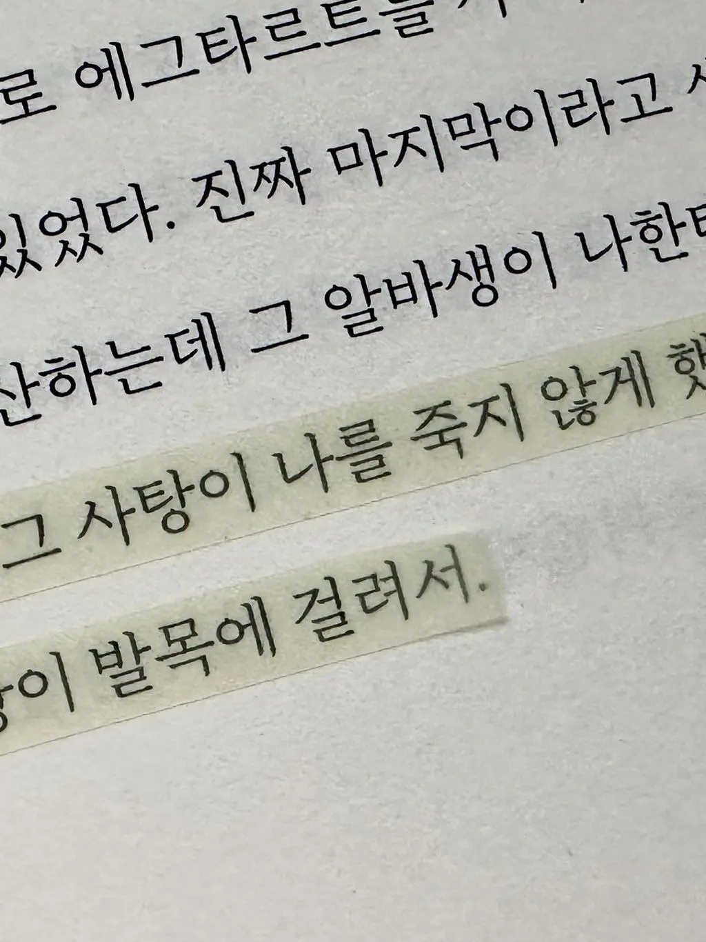 red_fox의 《호스트바에 대하여》