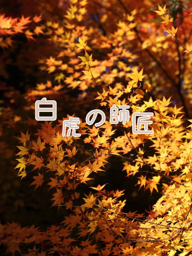 Galza_urto_의 白虎の師匠🏢