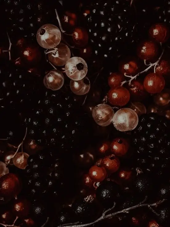 trxnspxrency의 𝐑𝐞𝐰𝐫𝐢𝐭𝐭𝐞𝐧 𝐛𝐲 𝐅𝐢𝐫𝐞 ⋯𖥔