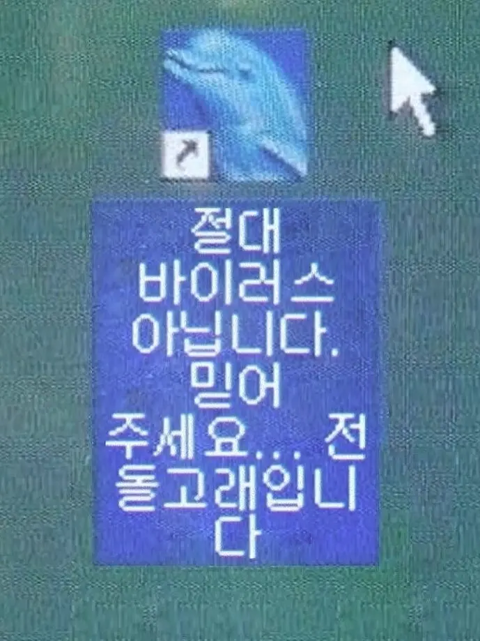 AmusedCork5738의 아 뭐, 왜 이렇게 이뻐?
