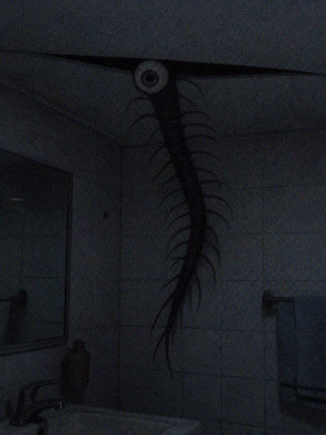 Myuー？ 대표 이미지