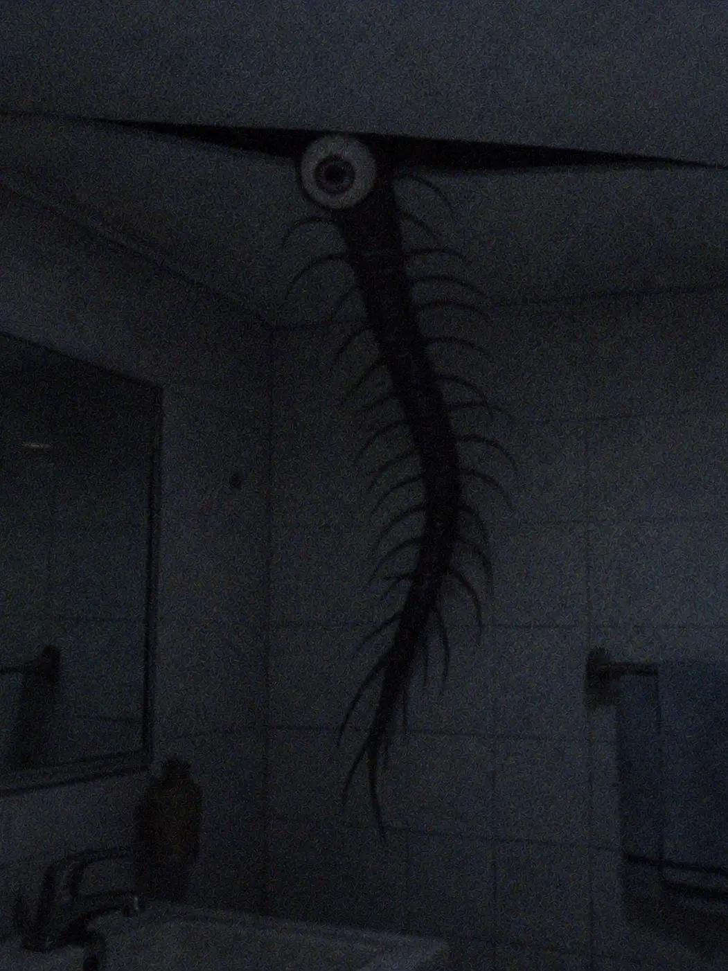 Cyclops의 Myuー？