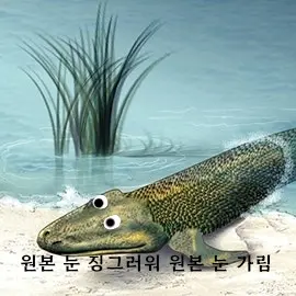 hi_0000의 세포에서 생명체로 진화하기.