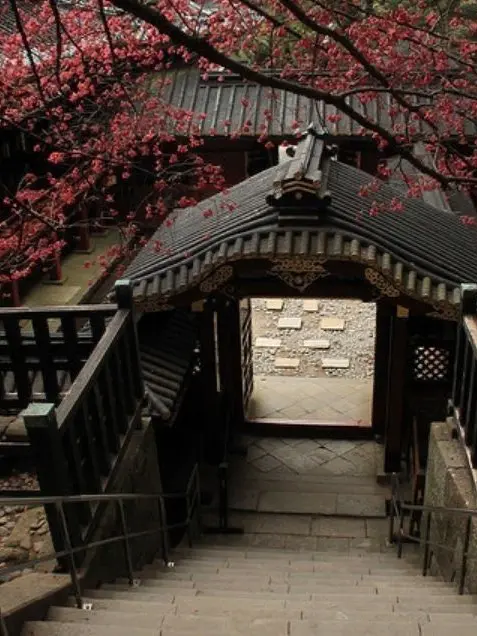 zipslum의 Silken War