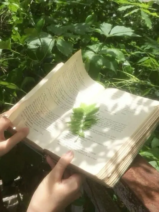 Best_salada의 행운.