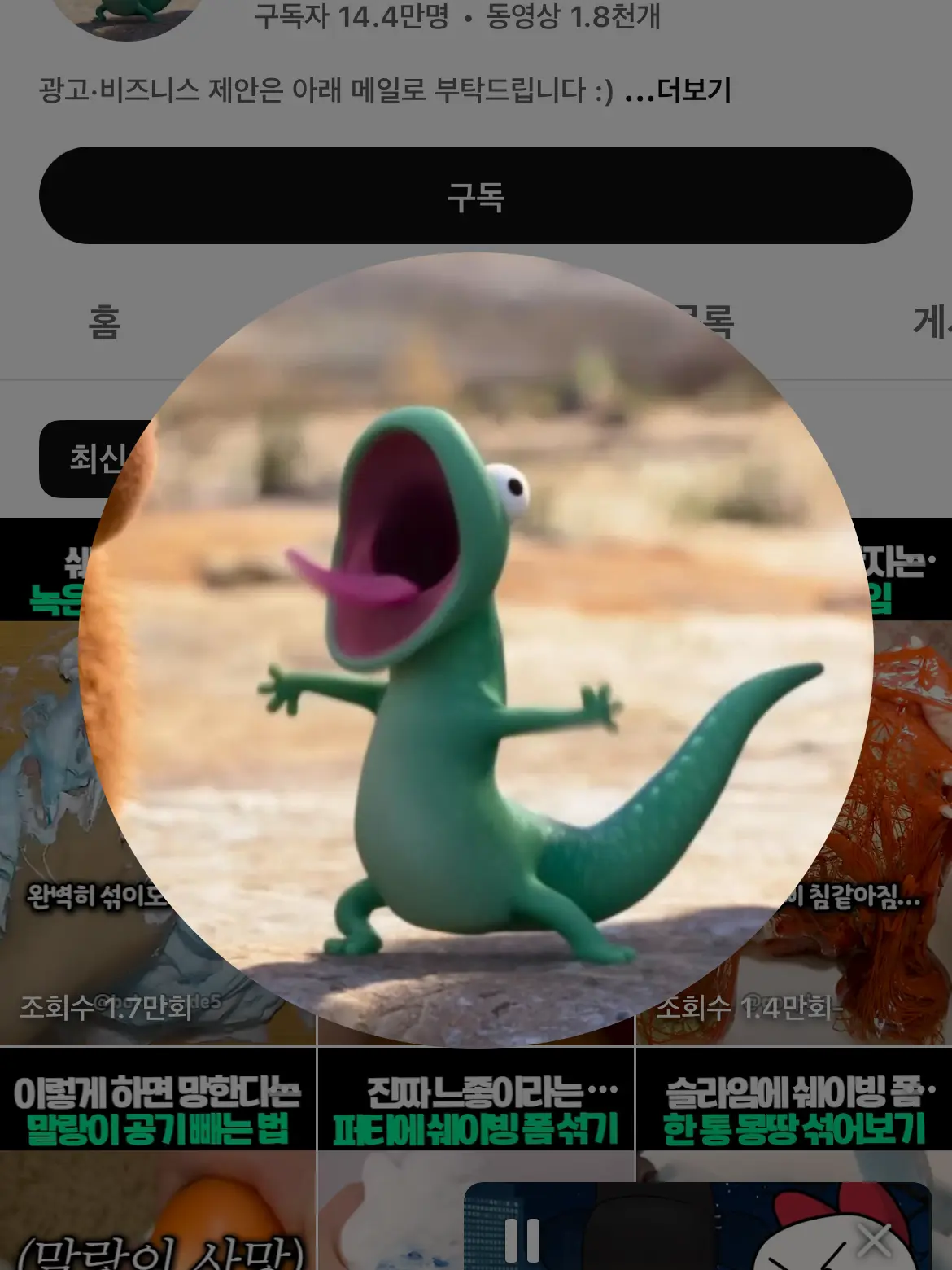 GustyCat9303의 유기사와 동거