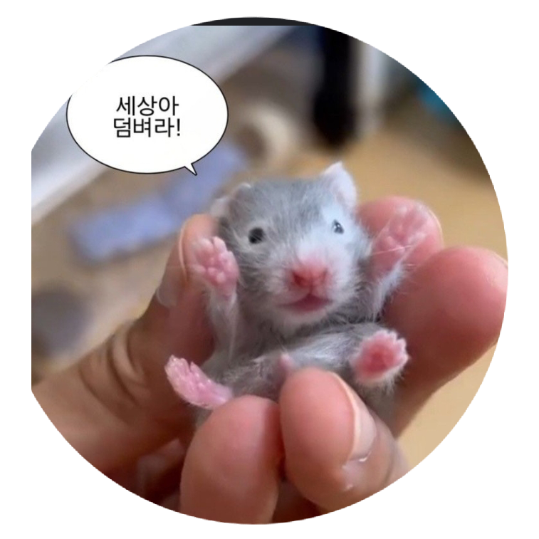 팀나빠 워크샵(개인용 ㅇㅇ) 대표 이미지