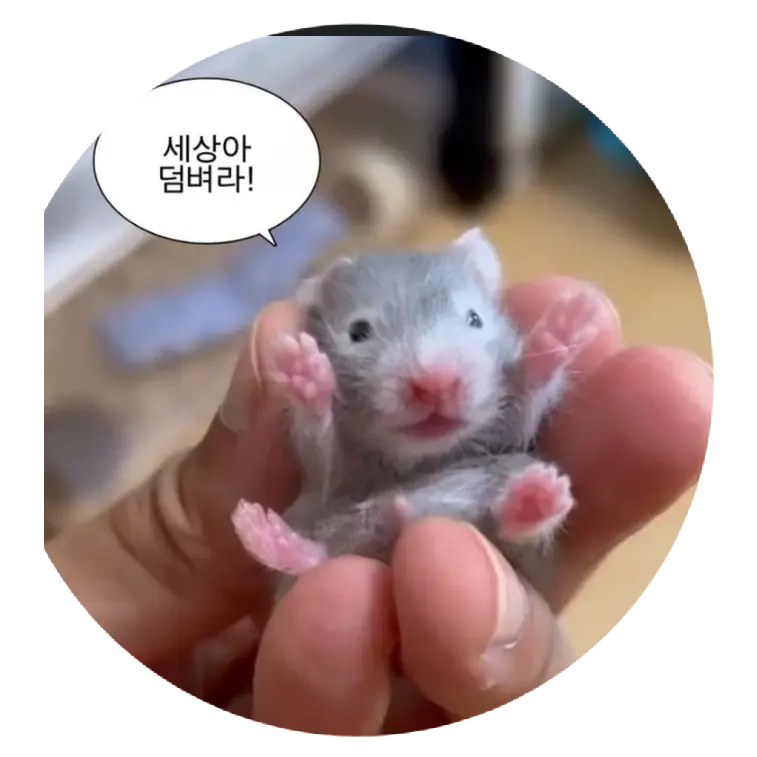 GivingSnore2346의 팀나빠 워크샵(개인용 ㅇㅇ)