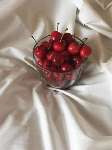 FlimsySitar5222의 서라더