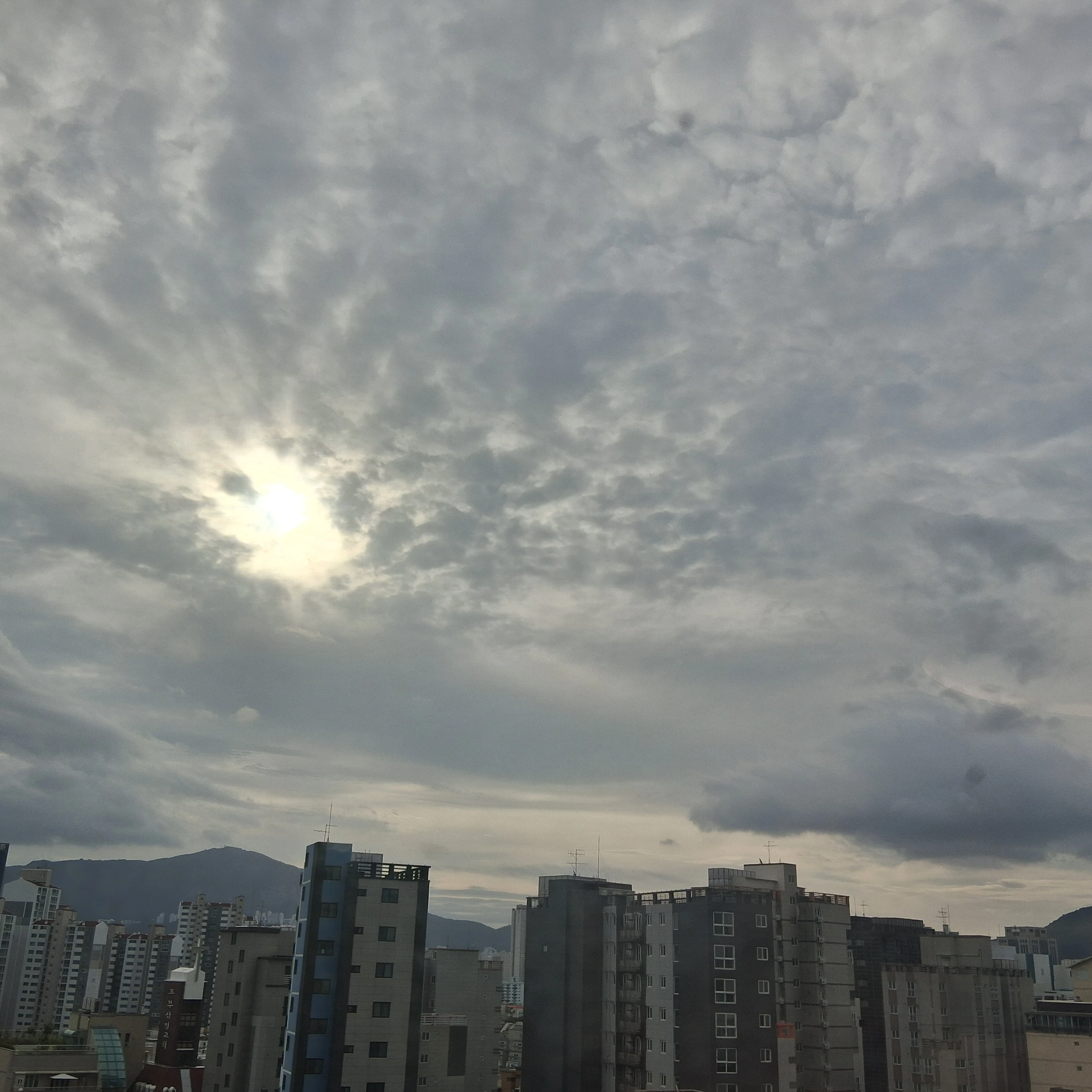 정상현