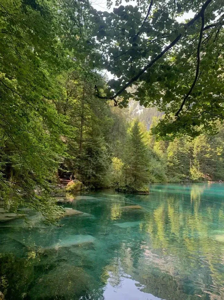 GlazedSiren4888의 In the Lake