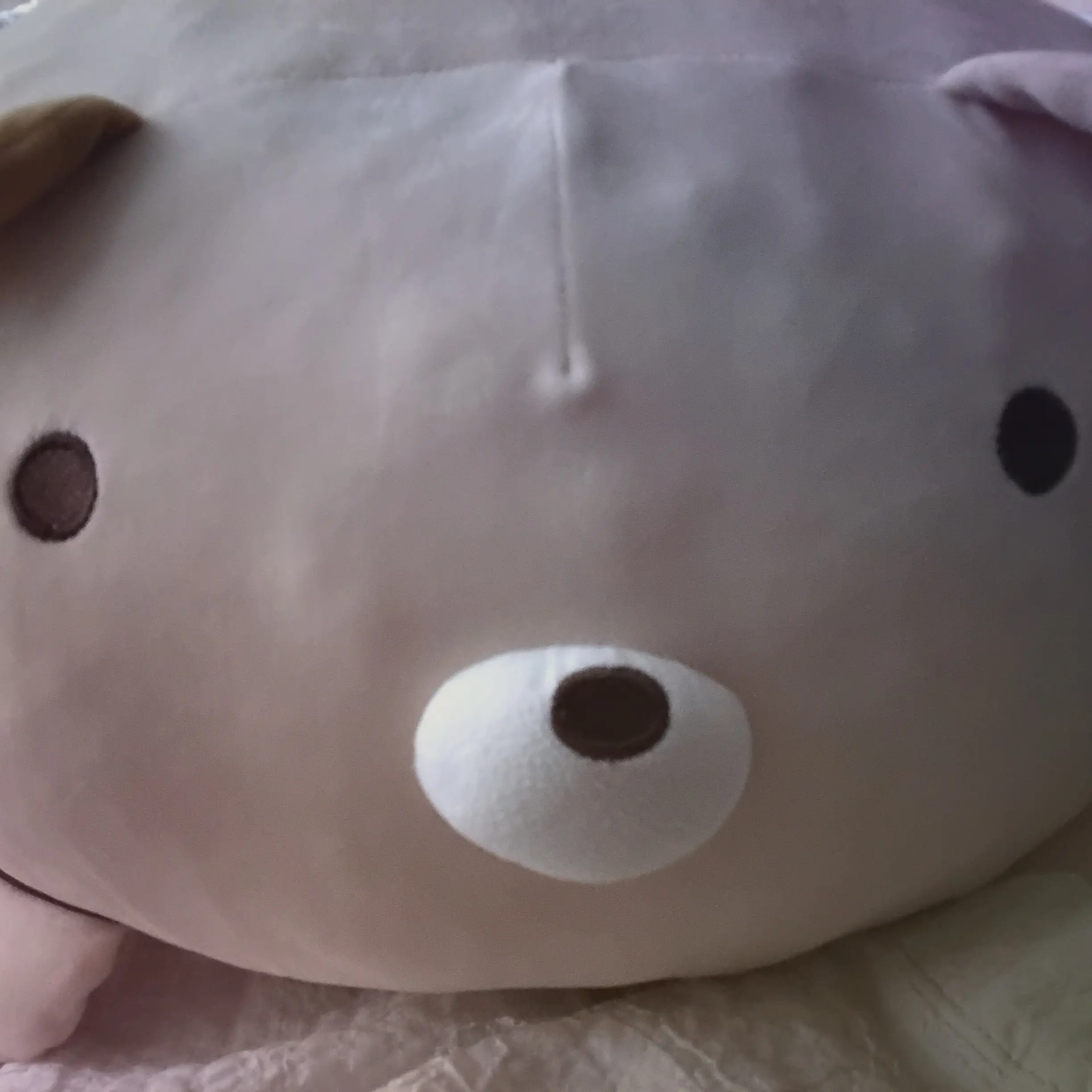 Hana1031의 뚠빵이