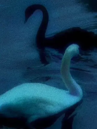 Eliteshn81의 조직 우두머리들 ,