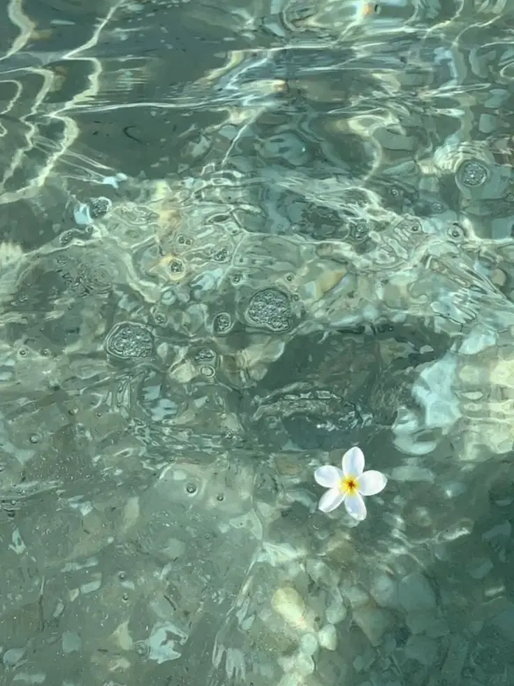 hellouju.0315의 [리레볼루션: 오뉴] 인어