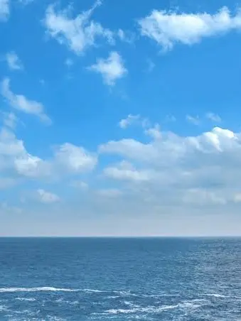 VividPound6156의 ONE PIECE