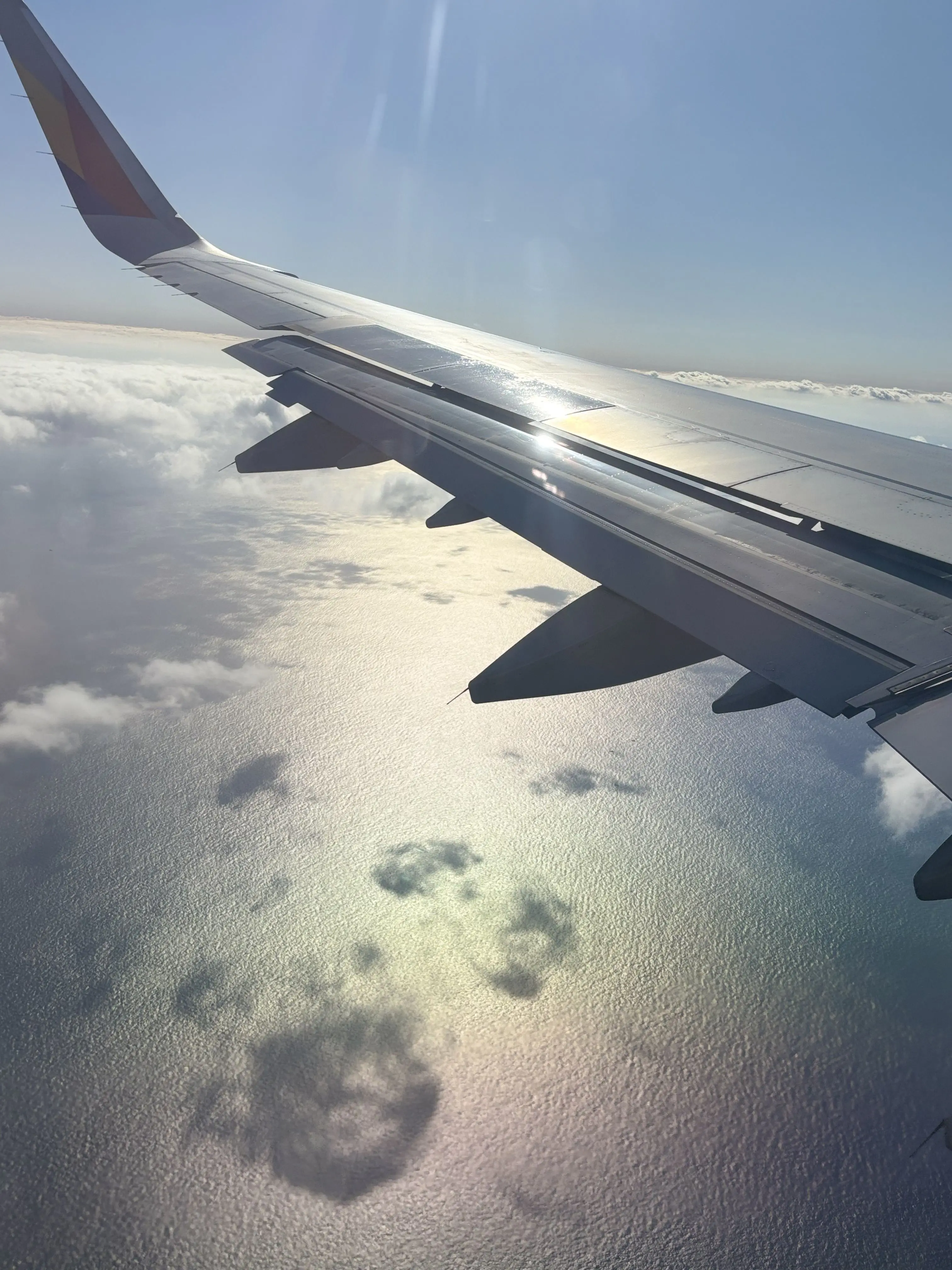 Koruru0910의 짱친조랑 놀러가자!! 2탄(?)✈️