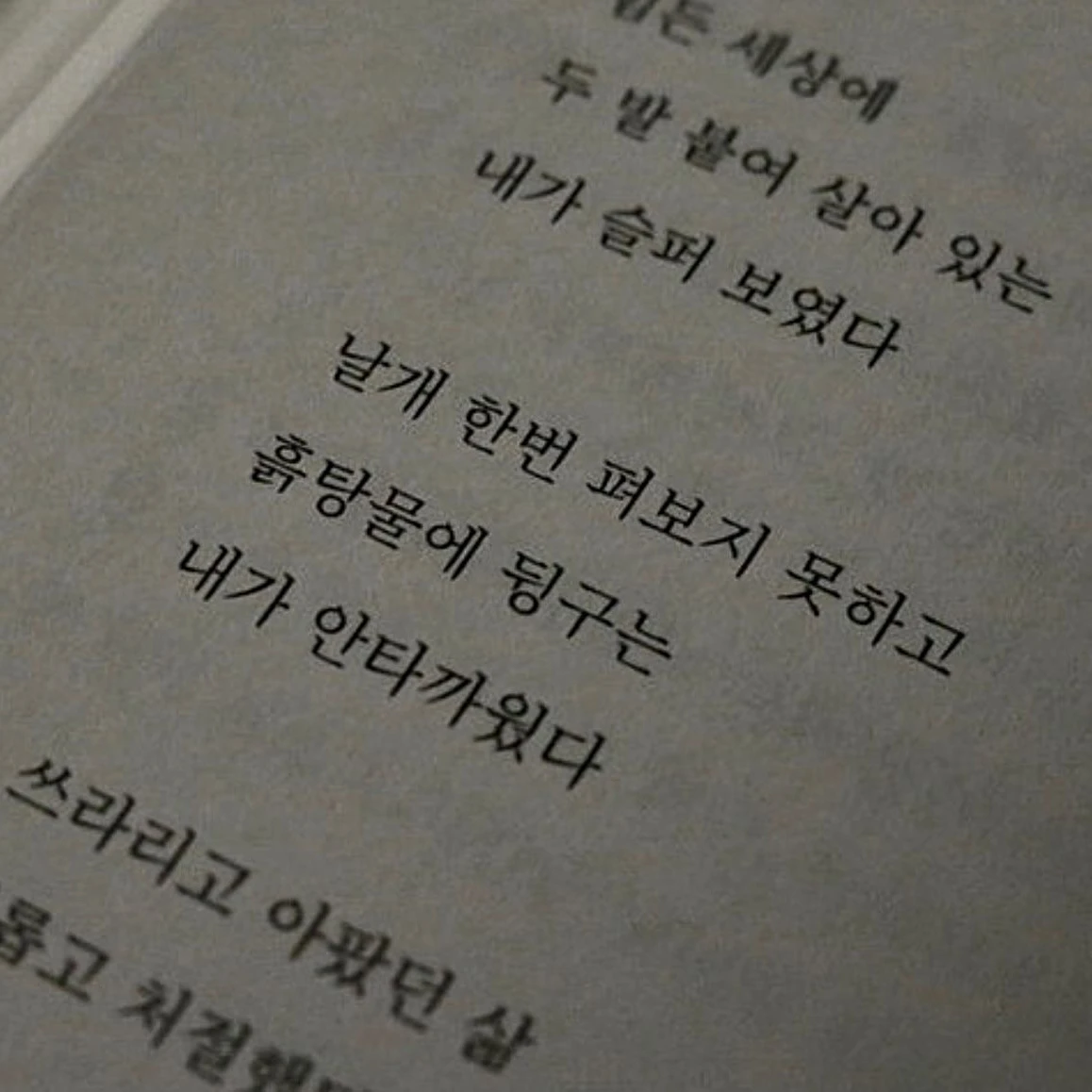 내가 너무나도 안타까워서