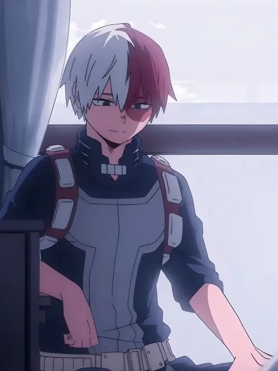Novachanz의 Shoto Todoroki