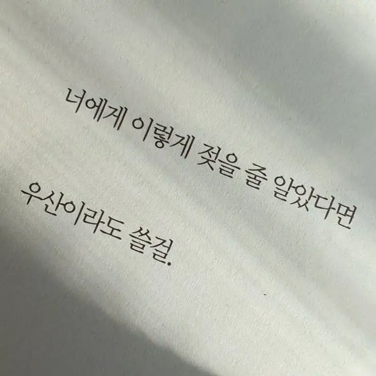 Juice104의 헷갈리게🐶🦖