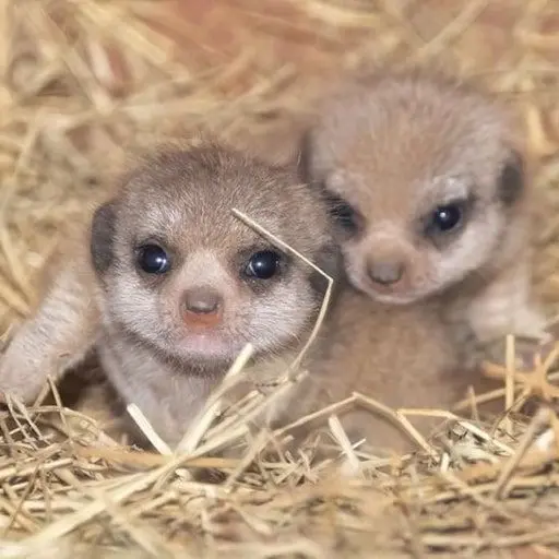 StumpyPunch4882의 남을 존중하는 방법