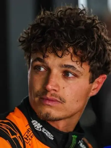 Pastry81의 Lando Norris