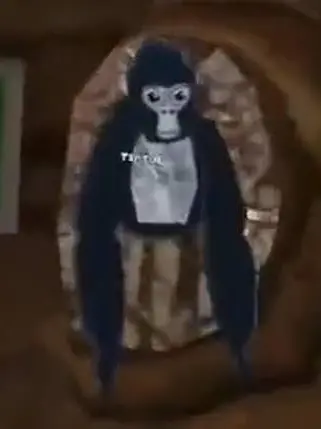 AndTheInternetsMyLemonaid의 GTAG GHOSTS