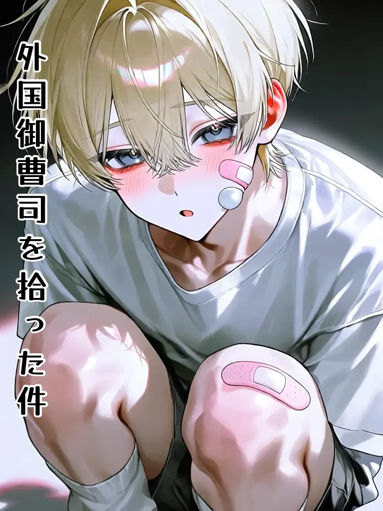 kyouso의 外国御曹司を拾って件
