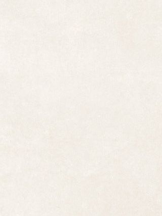 なとり(나토리) 대표 이미지