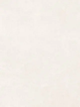yyjsnake11의 なとり(나토리)
