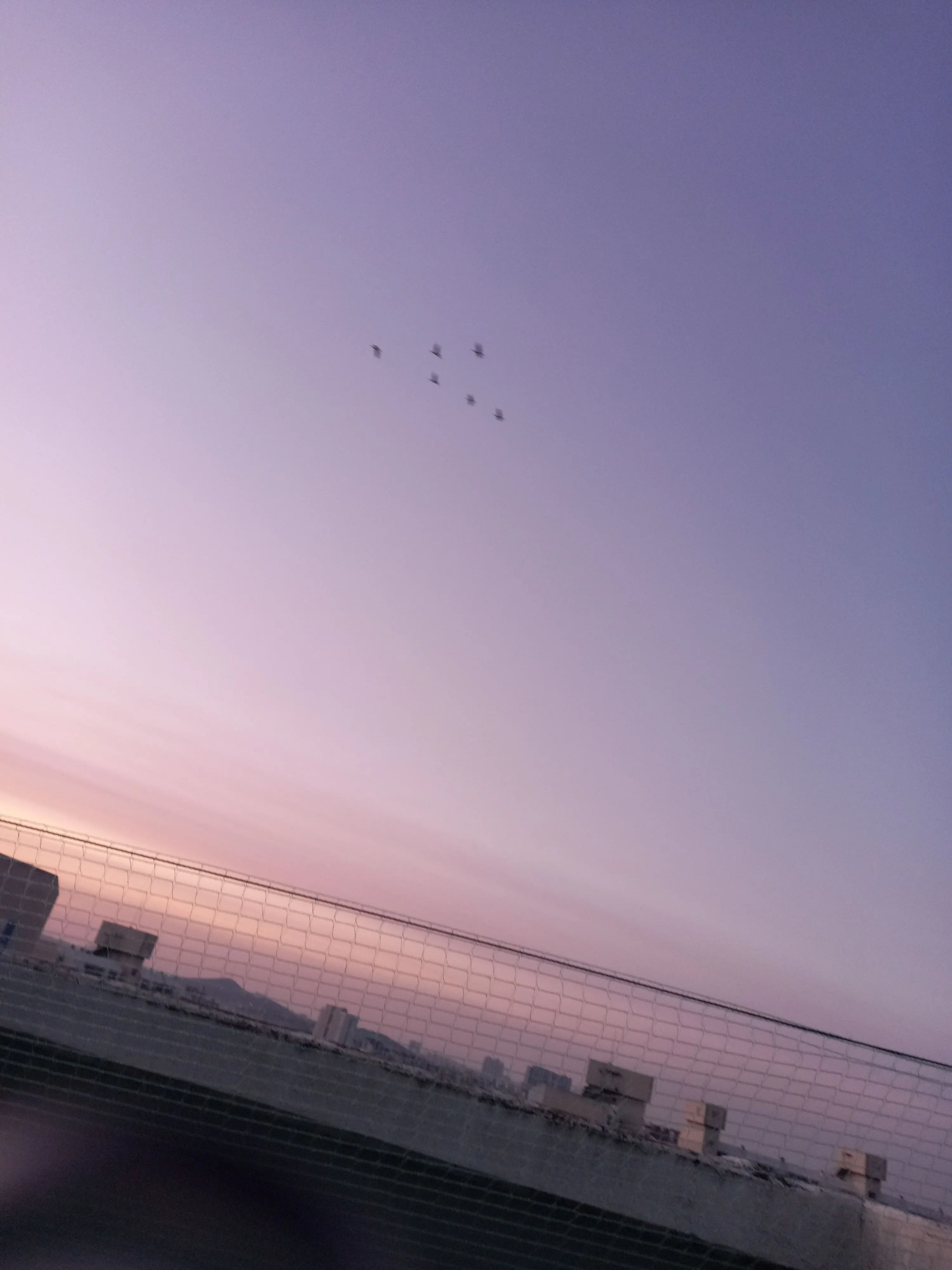 sunguisveryhard의 꽥꽥탐험대 인어마법학교 +여우