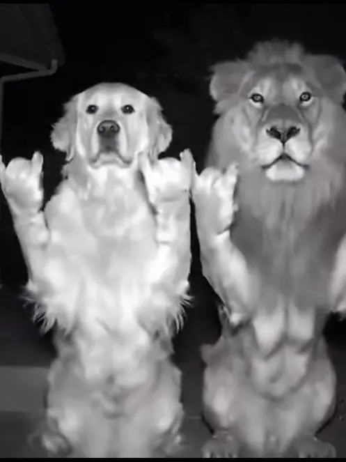 Bread_Akito의 자캐 개인용